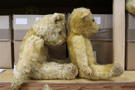 A 1930s Chiltern bear and another, tallest 15in.